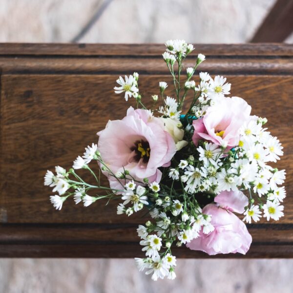 pink and white flowers