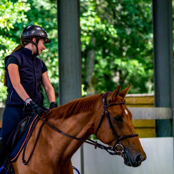 man in black helmet riding brown horse during daytime